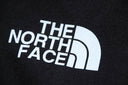 Sweat à capuche The North Face « Since 1966 » avec logo dégradé