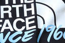 Sweat à capuche The North Face « Since 1966 » avec logo dégradé