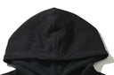 The North Face "Since 1966" Gradient Logo Hoodie
