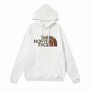 The North Face Camo Fill Logo Hoodie